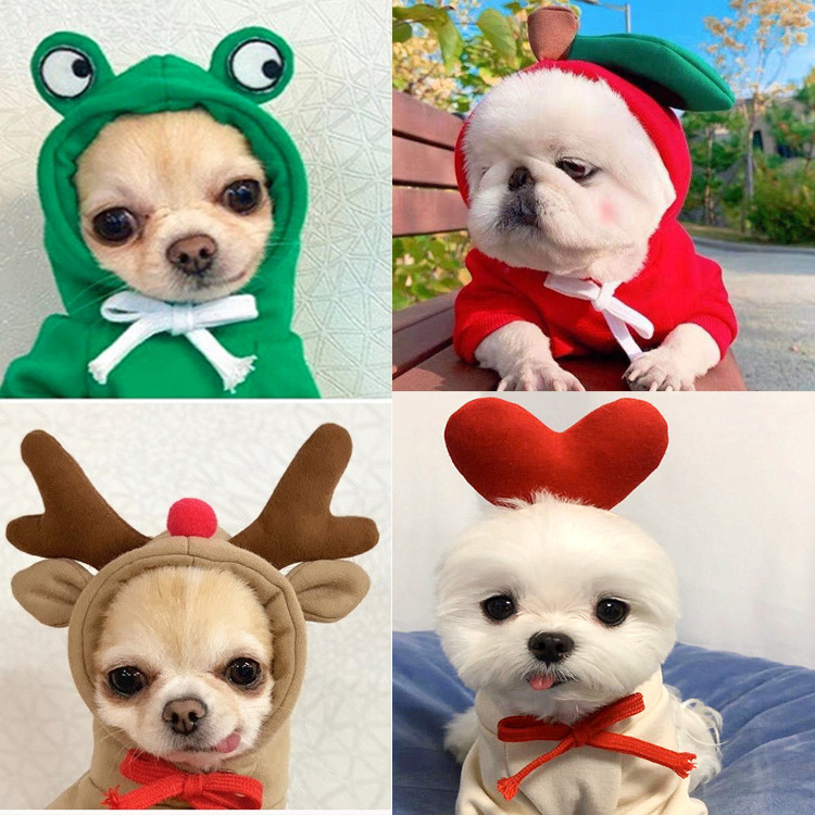 Fruit Transformation Dog Cat Small Medium Large Dog Autumn Winter Sweater Fleece Clothing Supplies Pet Teddy Jarre Aero Bull