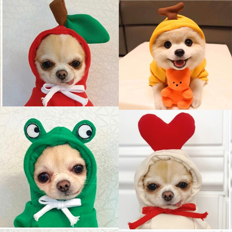 Fruit Transformation Dog Cat Small Medium Large Dog Autumn Winter Sweater Fleece Clothing Supplies Pet Teddy Jarre Aero Bull