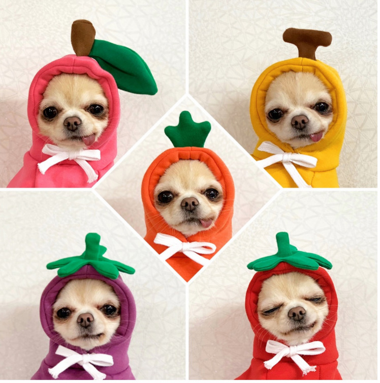 Fruit Transformation Dog Cat Small Medium Large Dog Autumn Winter Sweater Fleece Clothing Supplies Pet Teddy Jarre Aero Bull