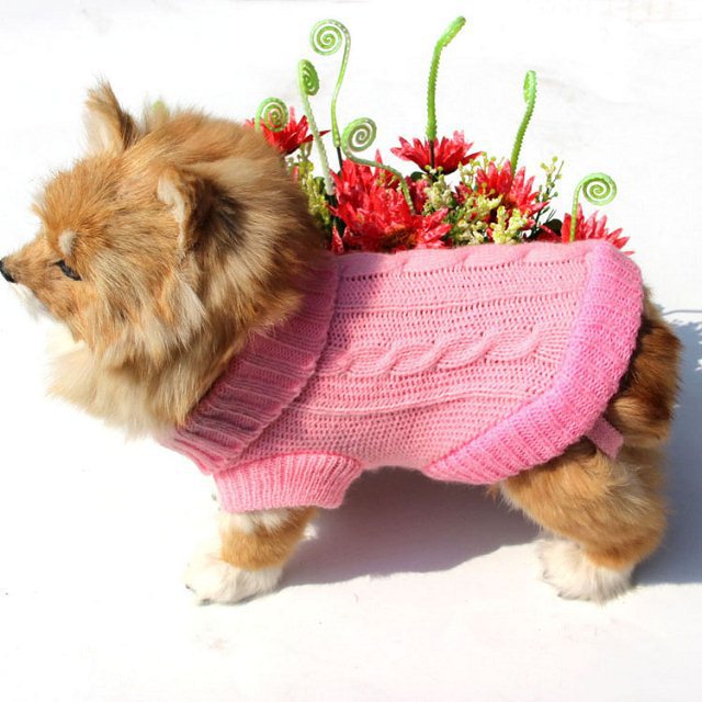 Thicken Autumn and Winter Pet Dog Sweater Warm Three-dimensional Twisted Rope Kitten Puppy Sweater Teddy Bear 