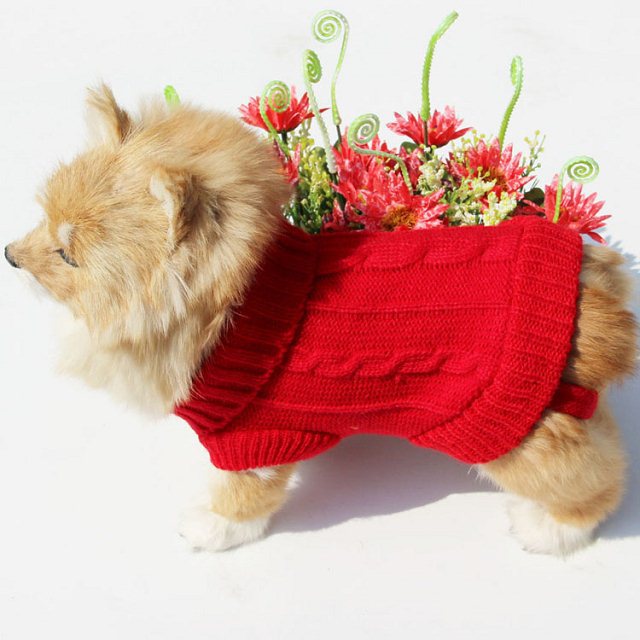 Thicken Autumn and Winter Pet Dog Sweater Warm Threedimensional Twisted Rope Kitten Puppy Sweater Teddy Bear Dog Clothes