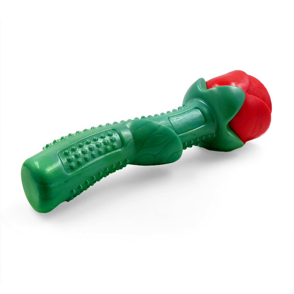 Your Food Pet the Toy Dog Toothbrush Teddy/Golden Retriever Small and Medium Dog Toy Bite-Resistant Molar Rod Dog Toy Gift