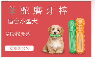 Your Food Pet the Toy Dog Toothbrush Teddy/Golden Retriever Small and Medium Dog Toy Bite-Resistant Molar Rod Dog Toy Gift