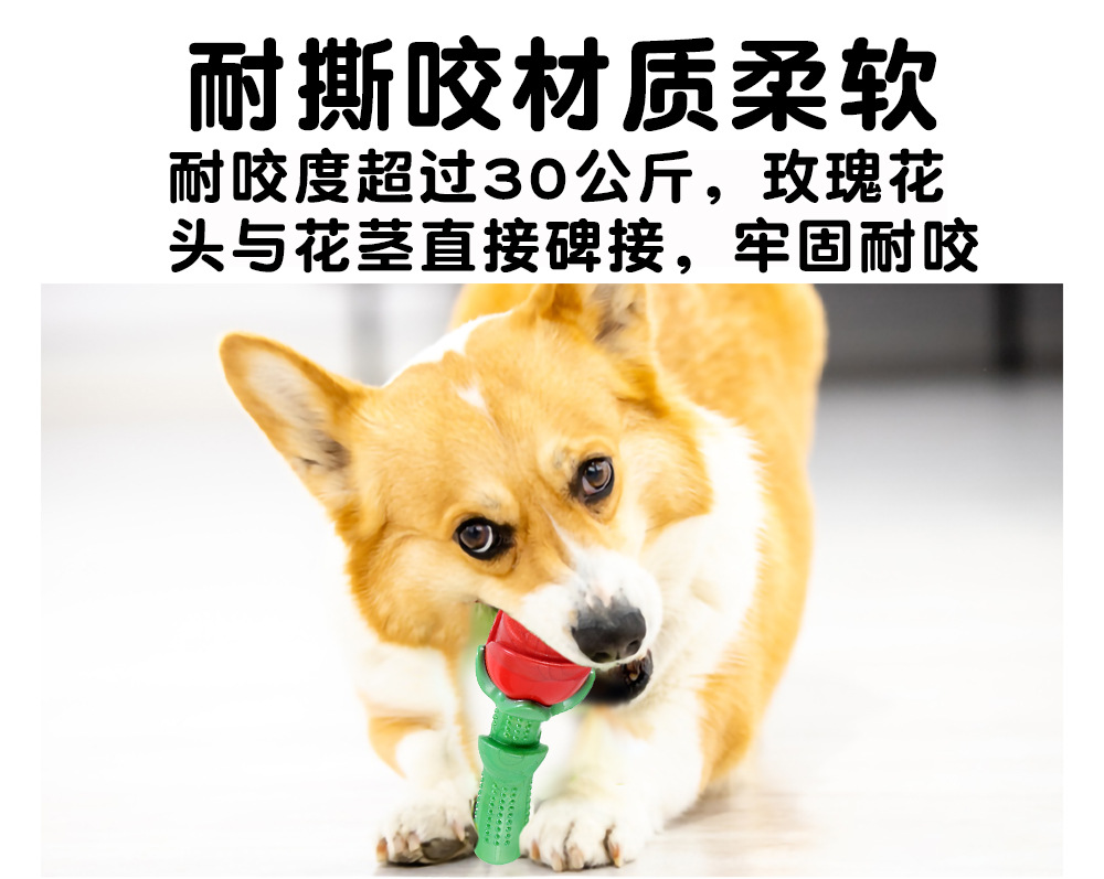 Your Food Pet the Toy Dog Toothbrush Teddy/Golden Retriever Small and Medium Dog Toy Bite-Resistant Molar Rod Dog Toy Gift