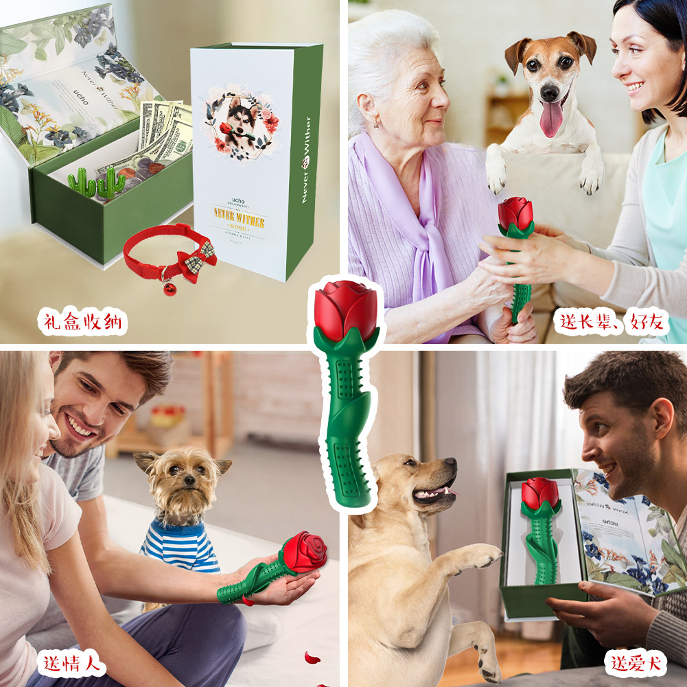 Your Food Pet the Toy Dog Toothbrush Teddy/Golden Retriever Small and Medium Dog Toy Bite-Resistant Molar Rod Dog Toy Gift