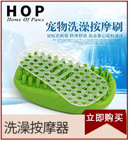Pet Toothbrush Set Cat and Dog Toothbrush Toothpaste Set Dog Supplies Oral Cleaning Pet Care Supplies Pet Toothbrush Set Cat and Dog Toothbrush Toothpaste Set Dog Supplies Oral Cleaning Pet Care Supplies