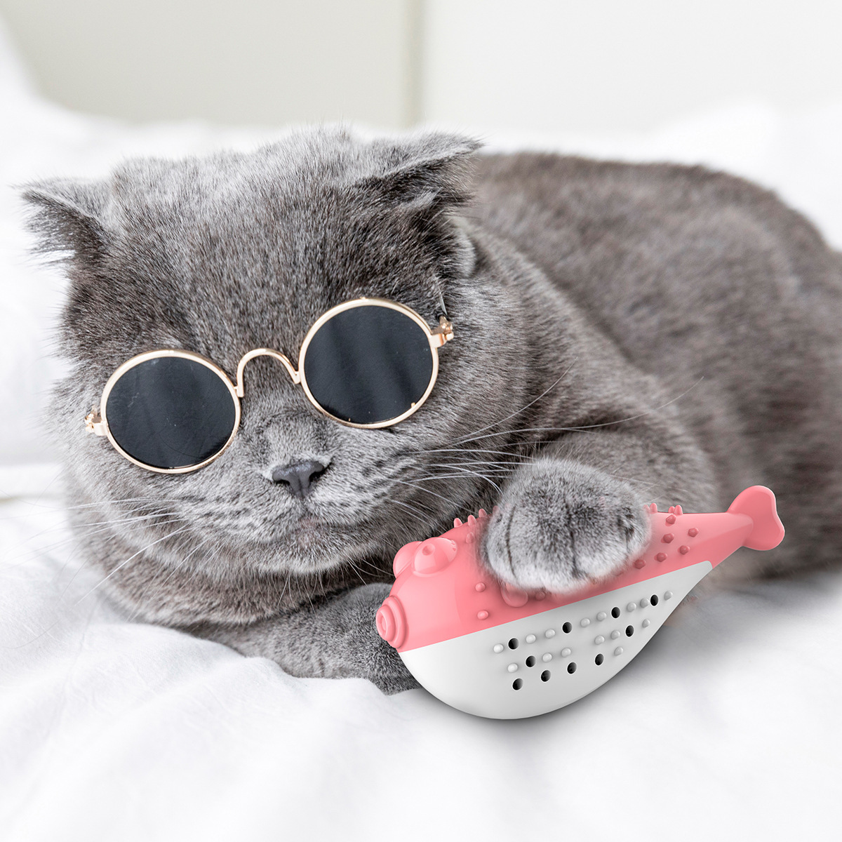 Pet Supplies Amazon Hot Cat Toy Mint Simulated Fish Cat Toothbrush Bite-Resistant Tooth Cleaning Molar
