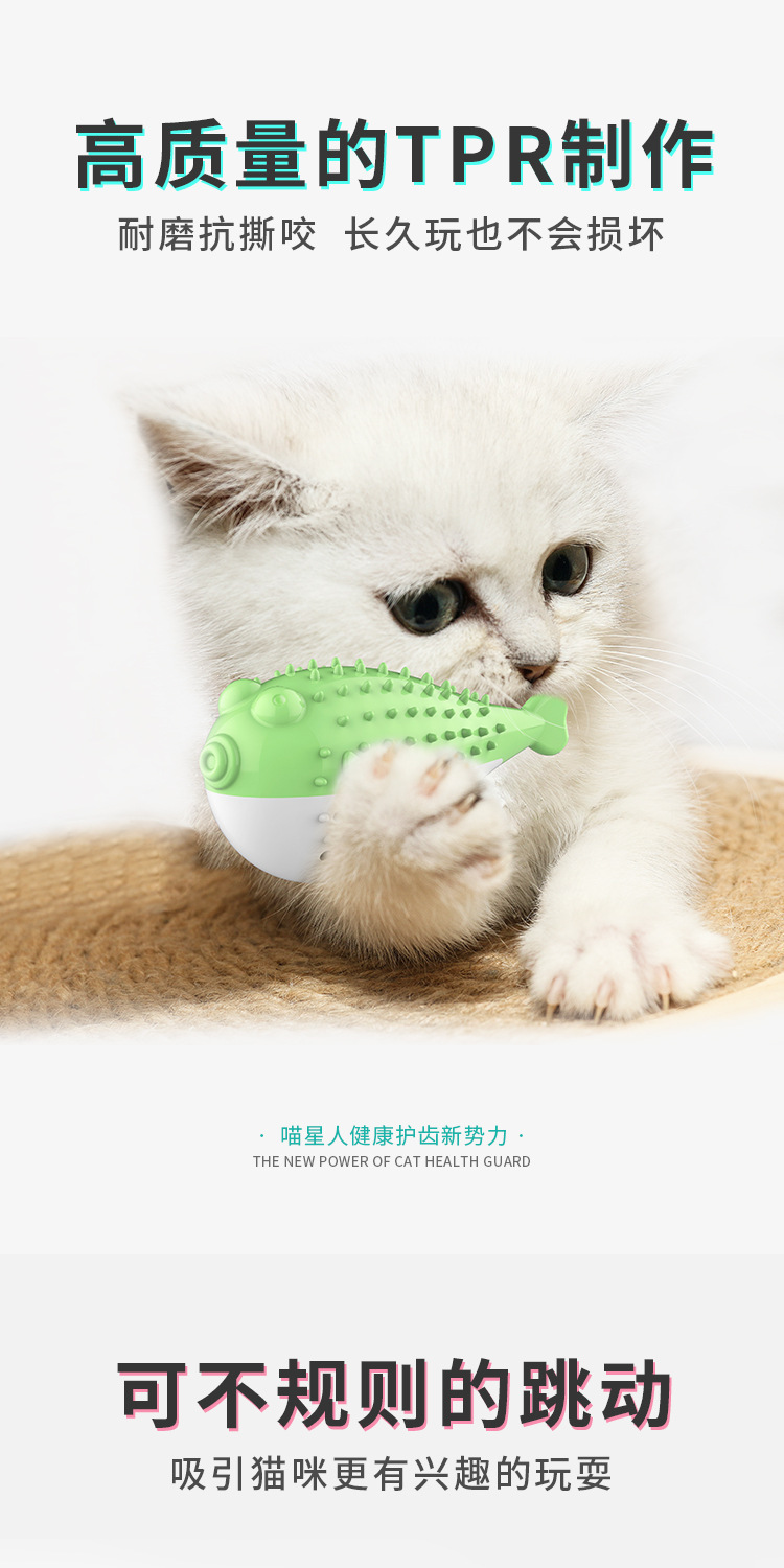 Pet Supplies Amazon Hot Cat Toy Mint Simulated Fish Cat Toothbrush Bite-Resistant Tooth Cleaning Molar