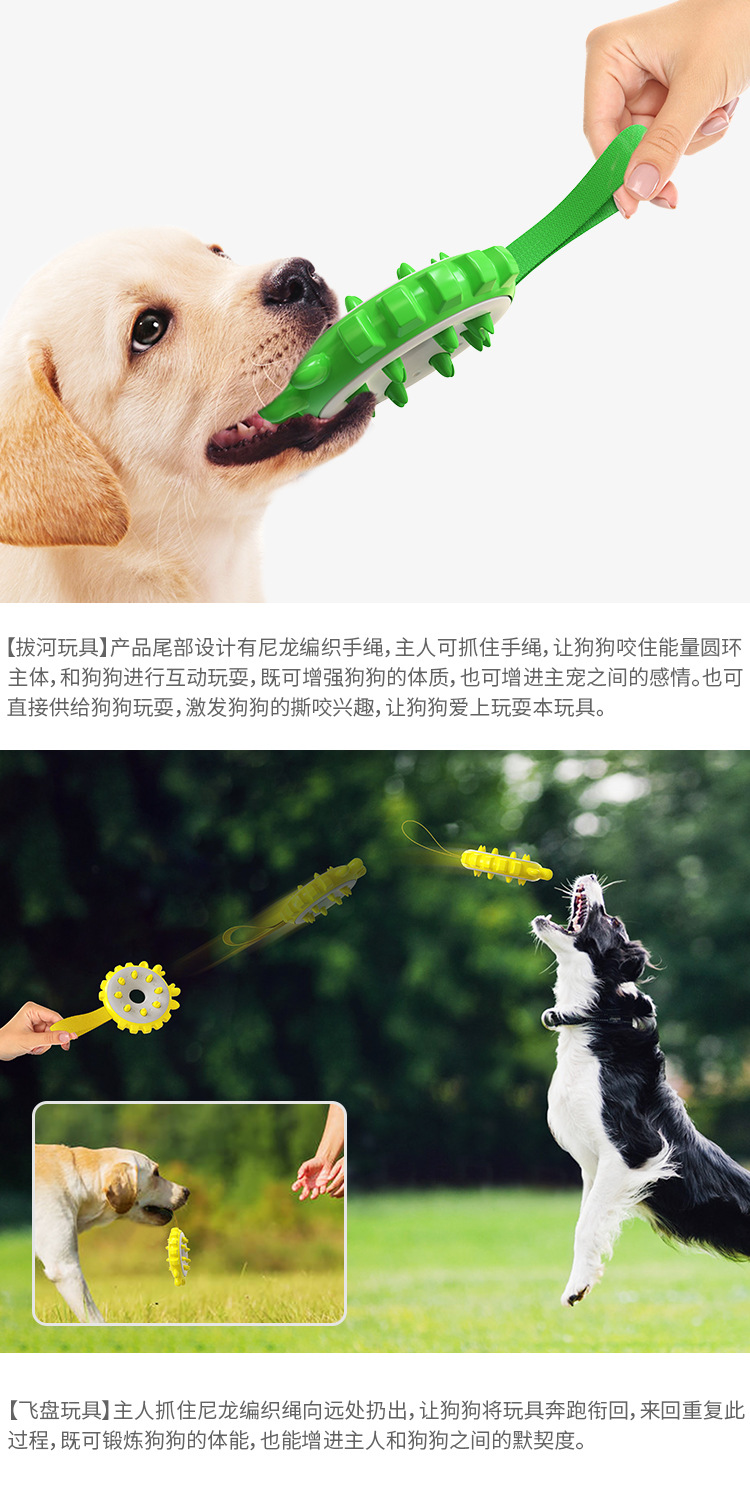 Pet Supplies Factory Home New Hot Amazon Cross-Border Dog Toy Toothbrush Dog Frisbee Molar Rod Food Dropping Ball