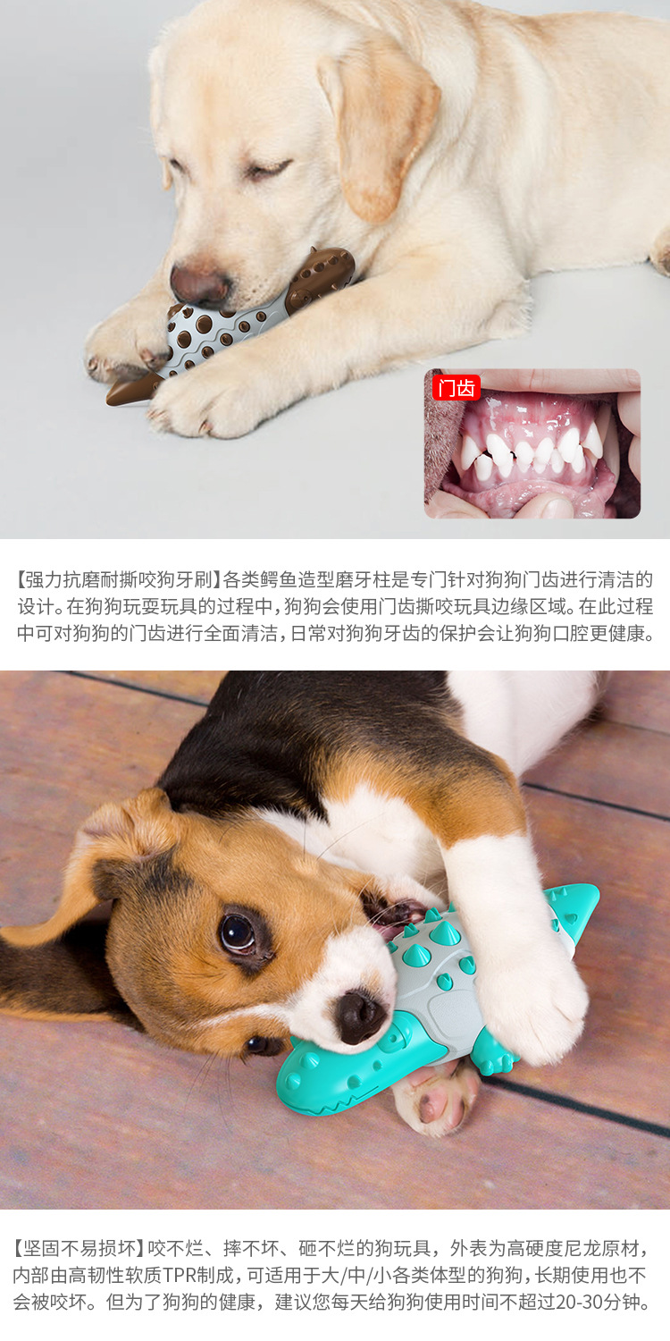 Pet Supplies Factory Home New Hot Amazon Cross-Border Dog Toy Toothbrush Dog Frisbee Molar Rod Food Dropping Ball