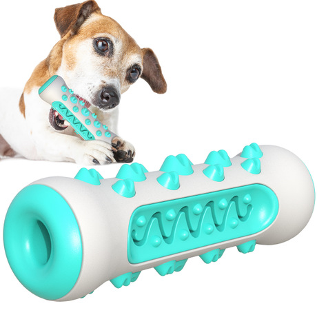 Amazon &#039;s new TPR pet toothbrush for dogs with a gnawing the clean ipads molars