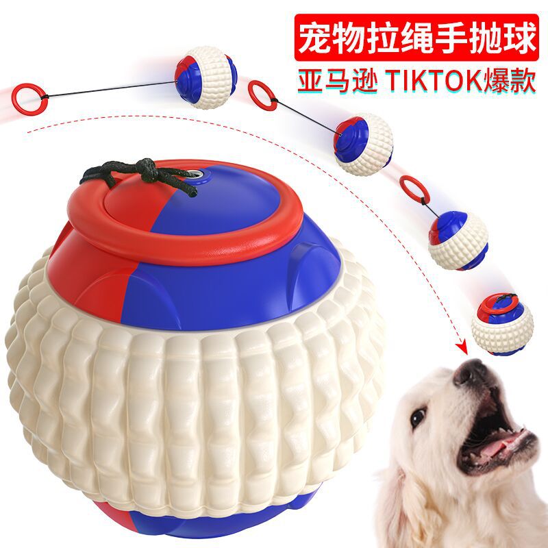 Pet Supplies Factory Wholesale Company New Popular Amazon Molar Long Throws Ring Dog Toy Toothbrush
