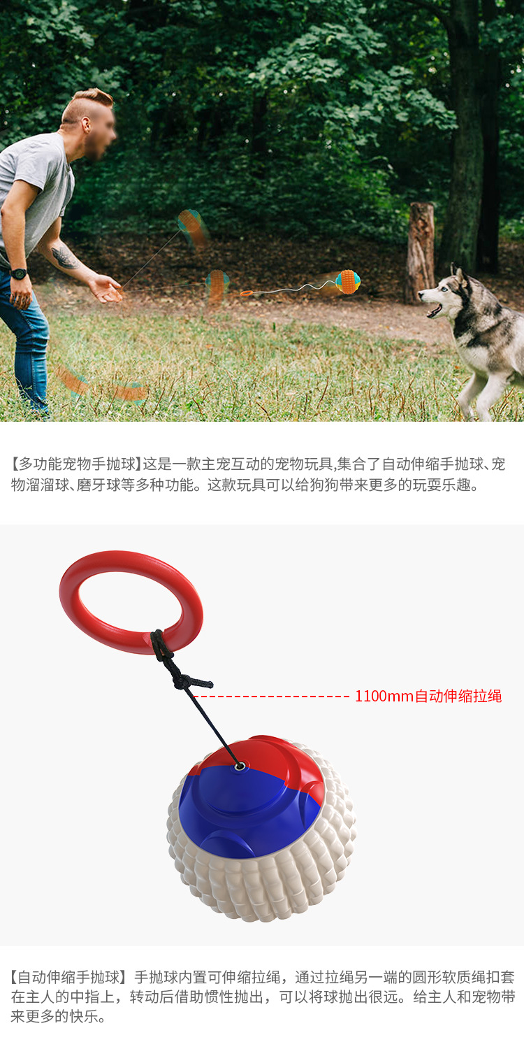 Pet Supplies Factory Wholesale Company New Popular Amazon Molar Long Throws Ring Dog Toy Toothbrush
