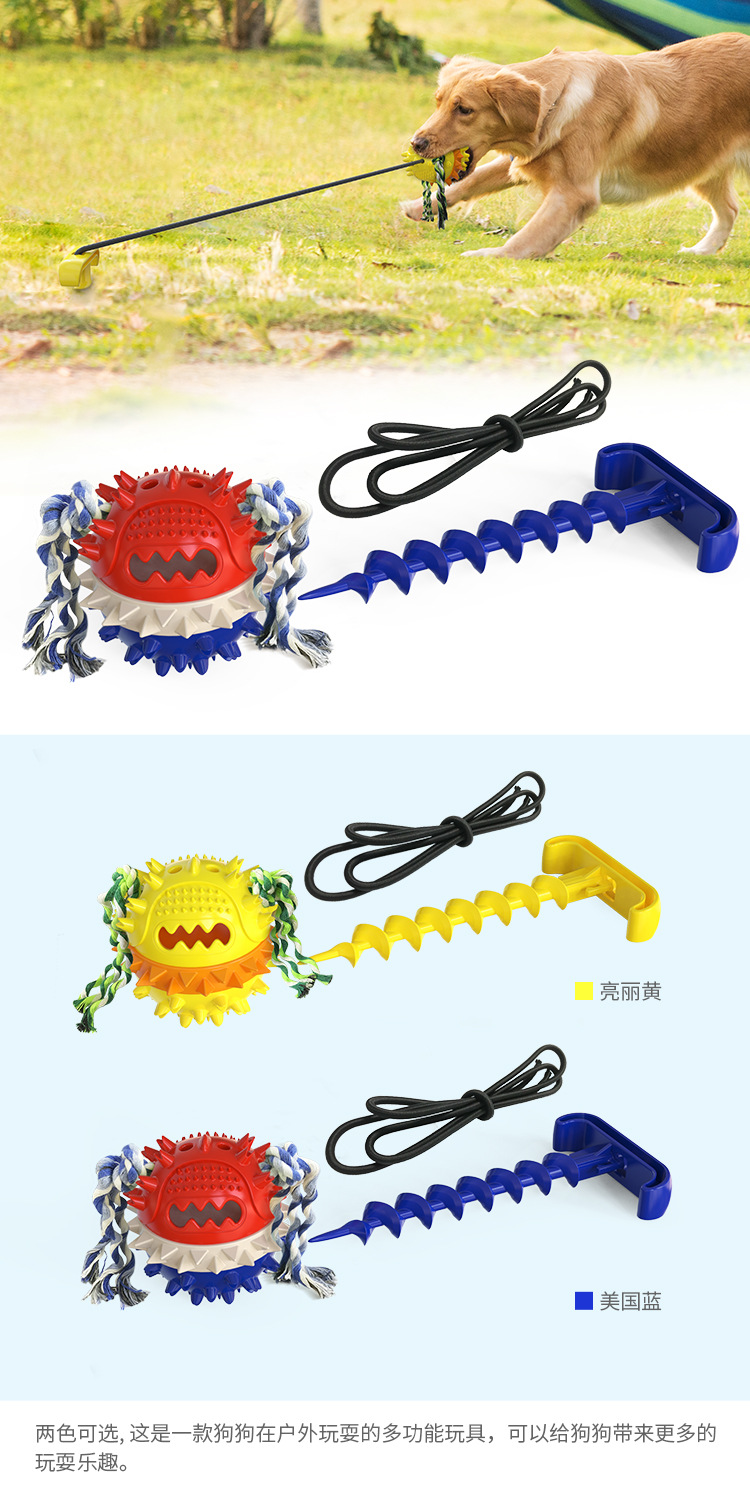 Pet Supplies Factory Wholesale Company New Popular Amazon Molar Long Throws Ring Dog Toy Toothbrush