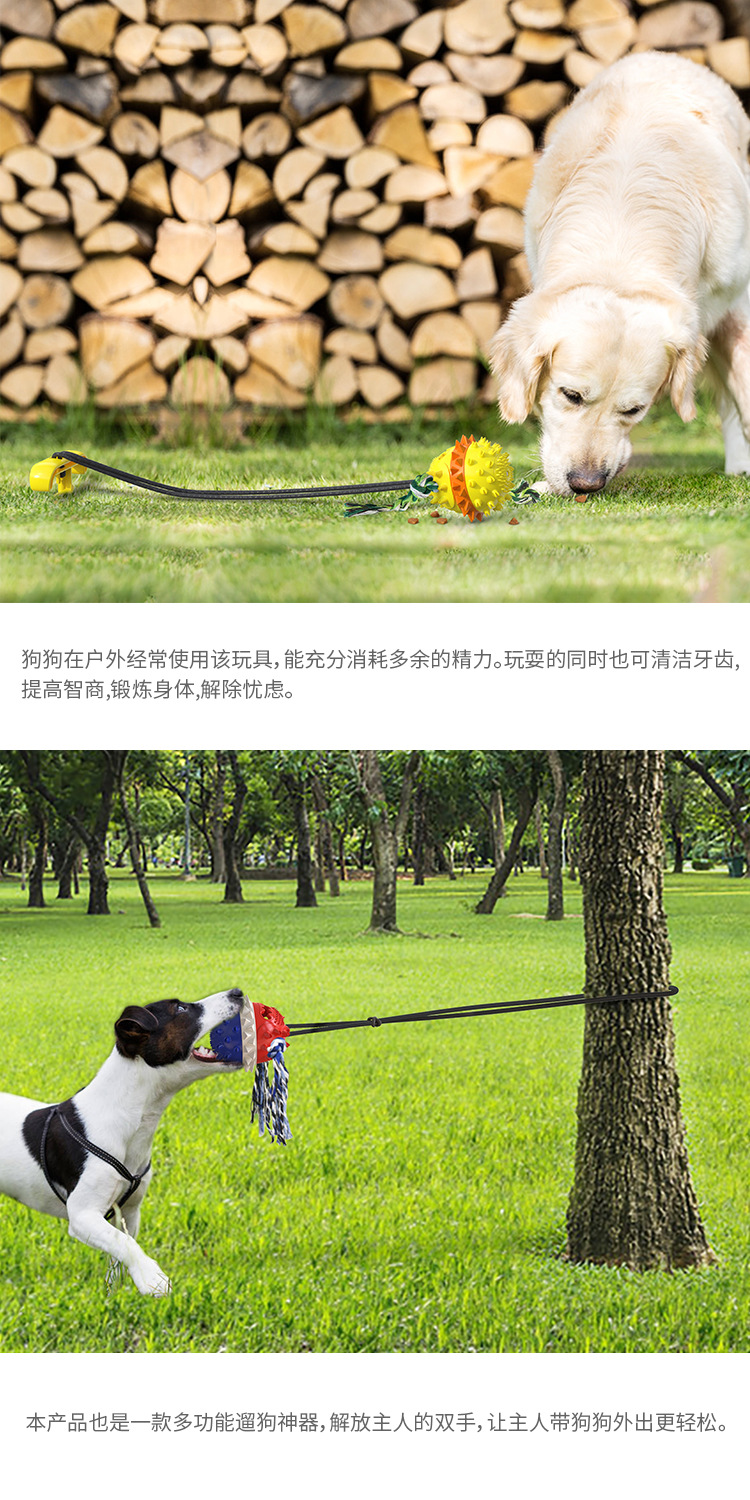 Pet Supplies Factory Wholesale Company New Popular Amazon Molar Long Throws Ring Dog Toy Toothbrush