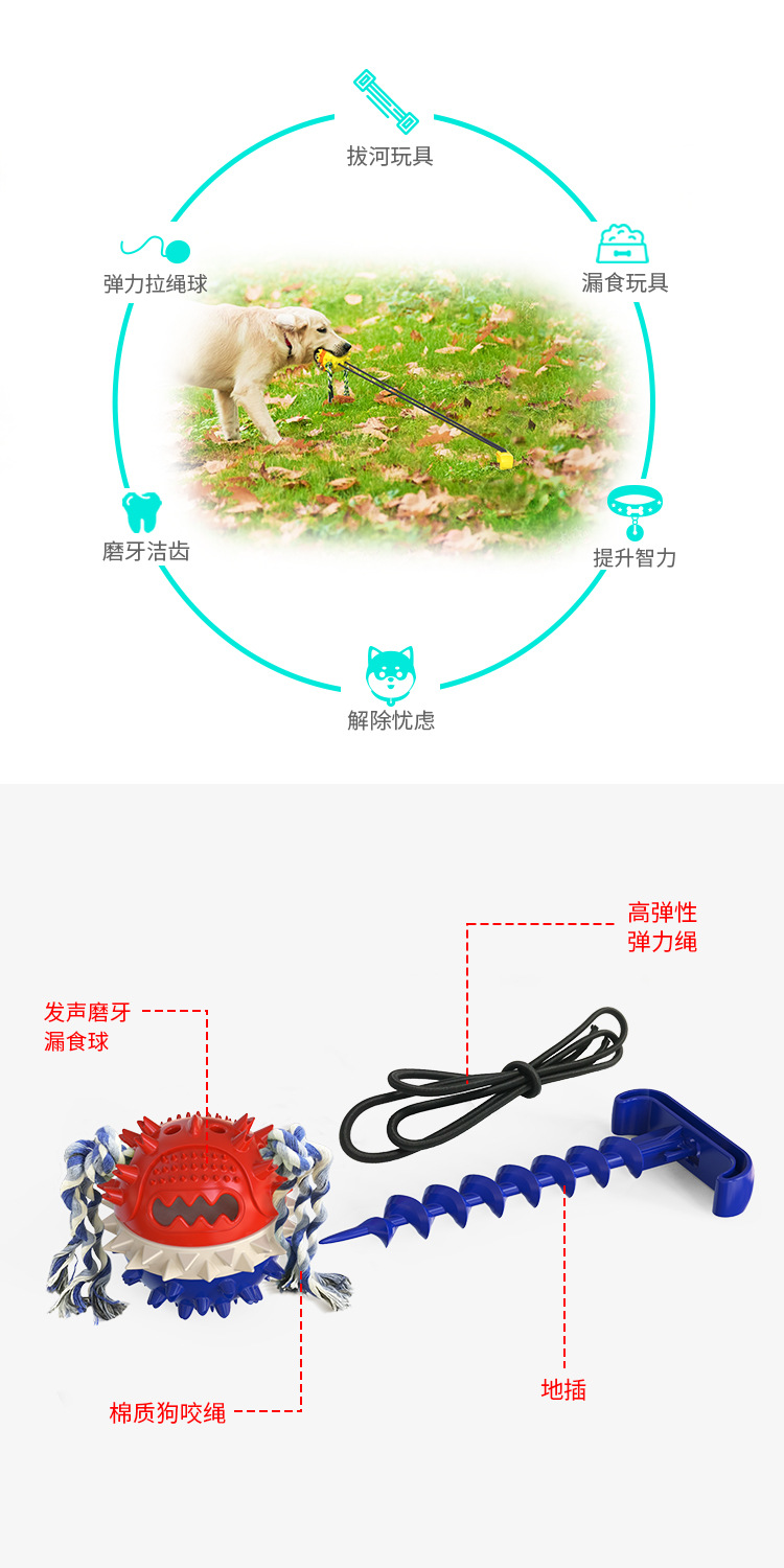 Pet Supplies Factory Wholesale Company New Popular Amazon Molar Long Throws Ring Dog Toy Toothbrush