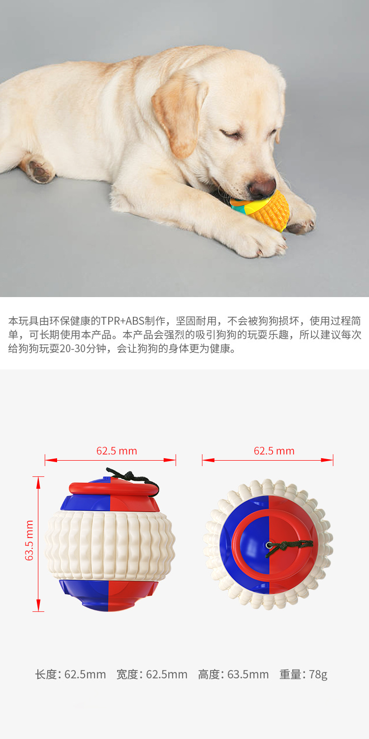 Pet Supplies Factory Wholesale Company New Popular Amazon Molar Long Throws Ring Dog Toy Toothbrush