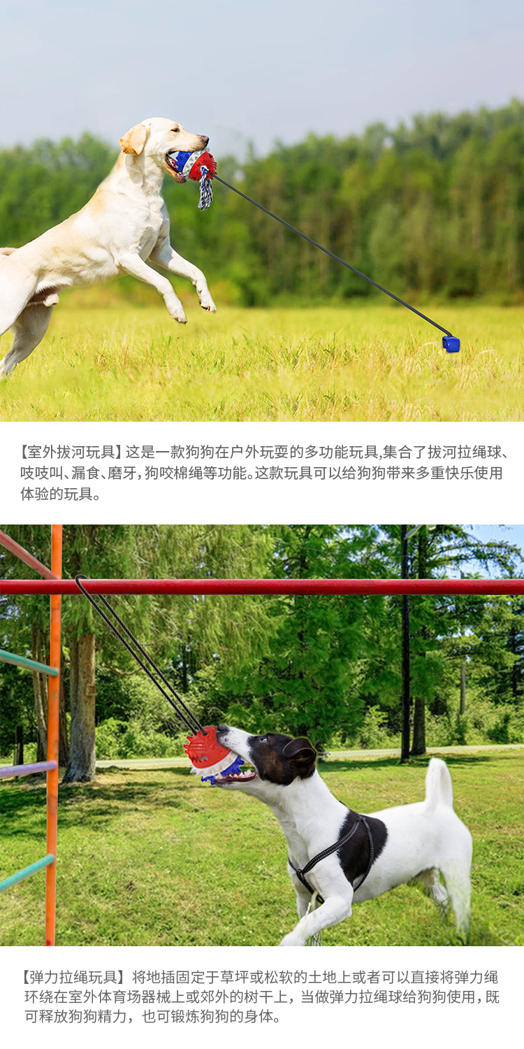 Pet Supplies Factory Wholesale Company New Popular Amazon Molar Long Throws Ring Dog Toy Toothbrush