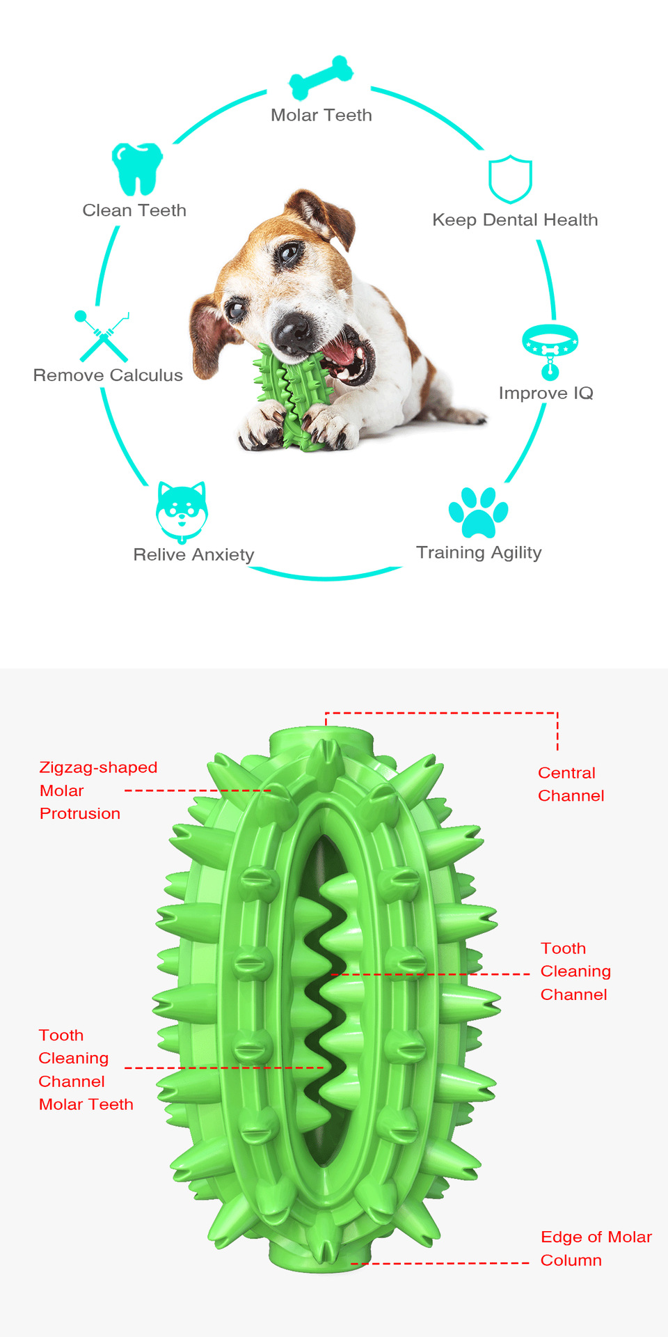Pet Supplies New Amazon Hot Hot Sale Dog Toys Cactus Molar Rod Toothbrush Dog Chew Toys