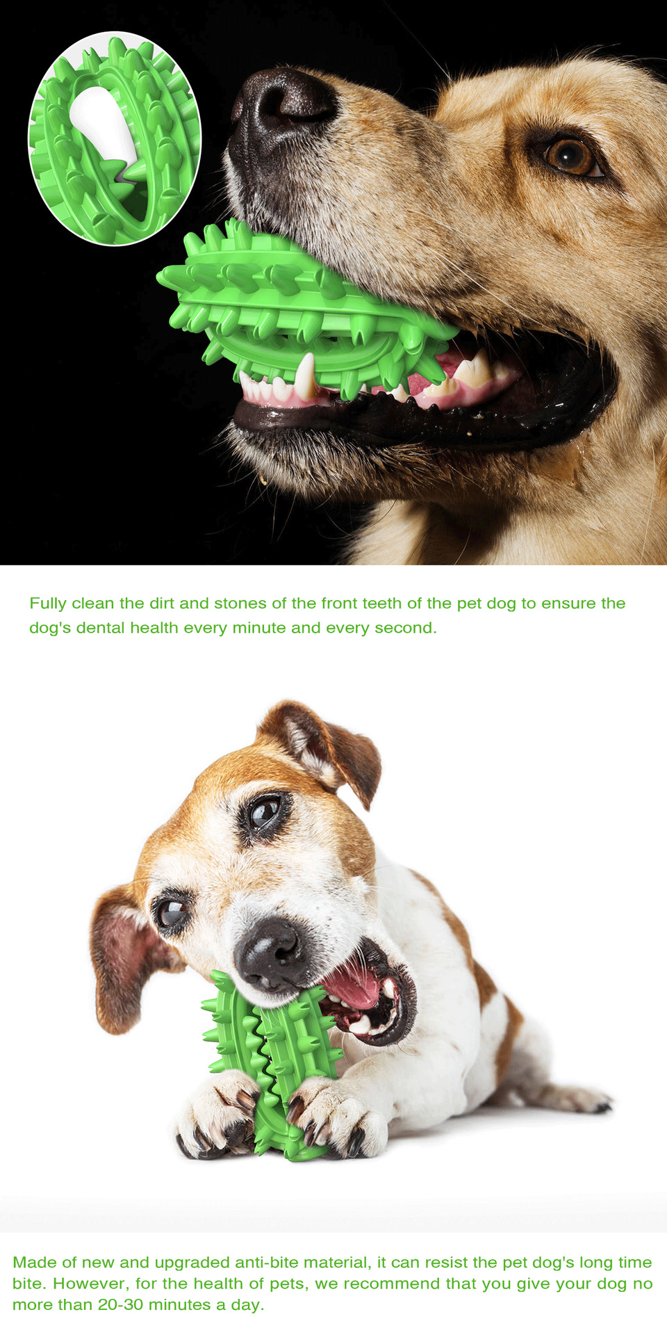 Pet Supplies New Amazon Hot Hot Sale Dog Toys Cactus Molar Rod Toothbrush Dog Chew Toys
