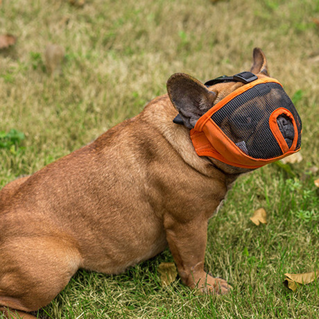 Manufacturer direct sale high quality bulldog eye mask short nasal cavity dog mask dog anti - bite anti - barking muzzle