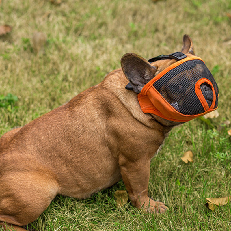 Factory Direct Sales Quality Bulldog Eye Mask Short Nasal Cavity Dog Mask Dog Anti-Bite/Anti-Bark Muzzle