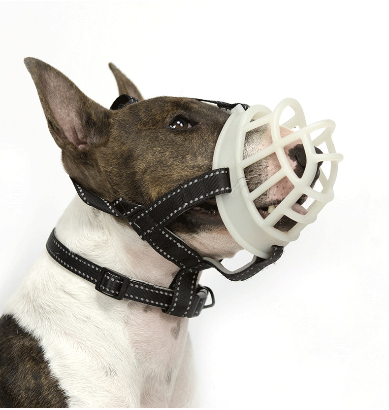 Amazon New Fluorescent Silicone Muzzle for Dogs Pet Supplies Dog Muzzle Adjustable Breathable Anti-Bite/Anti-Bark Muzzle Amazon New Fluorescent Silicone Muzzle for Dogs Pet Supplies Dog Muzzle Adjustable Breathable Anti-Bite/Anti-Bark Muzzle