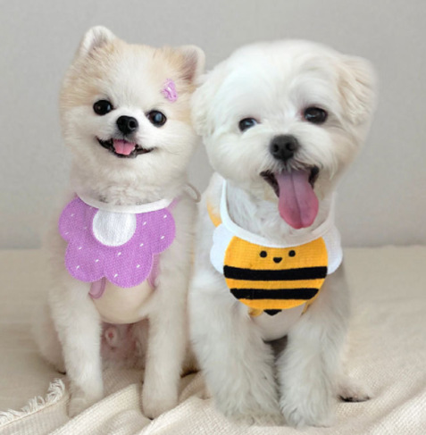 Korean Cute Pet&#039;s Saliva Towel Cat Dog Christmas New Year Holiday Scarf Clothes Jiafei Shiba Inu Corgi Fat