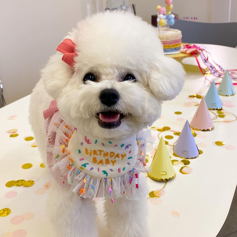 Korean Dog Dog Party Bib Pet Birthday Saliva Towel Bichon Triangular Binder Scarf Cat Pets