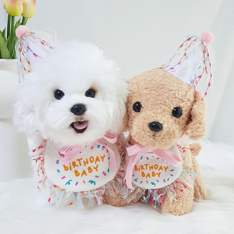 Korean Dog Dog Party Bib Pet Birthday Saliva Towel Bichon Triangular Binder Scarf Cat Pets
