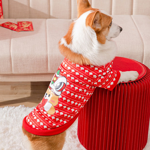New Puppy Dog Autumn and Winter Double-Sided Wear Rain-Proof Clothes Warm Four-Leg Cotton-Padded Clothes Scarf Suit Cat Pet Clothes