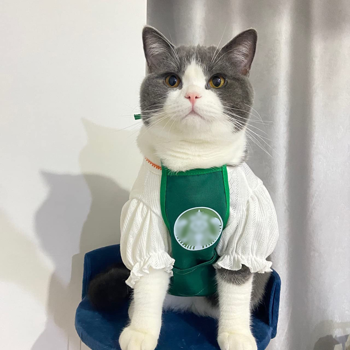 New Pet&#039;s Saliva Towel Ins Apron Pet Daily Necessities Bib Dog Saliva Towel Cat Scarf