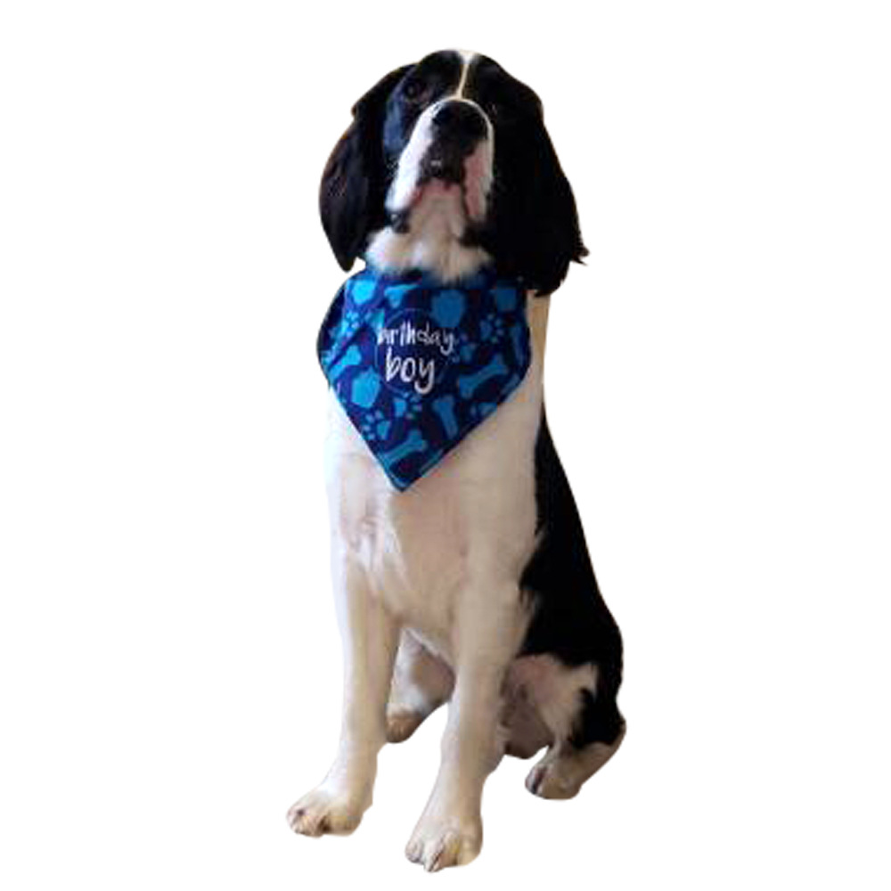 European and American New Pet Triangular Scarf Pet Supplies Dog Scarf Scarf Pet Collar Bib Bib Dog Collar