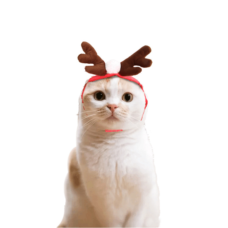 Amazon Pet Cat Dog Hat Headdress Scarf Cape Pet Costume New Year Cloak Christmas Clothes