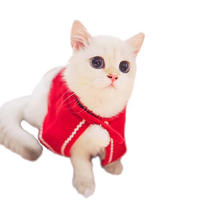 Amazon Pet Cat Dog Hat Headdress Scarf Cape Pet Costume New Year Cloak Christmas Clothes