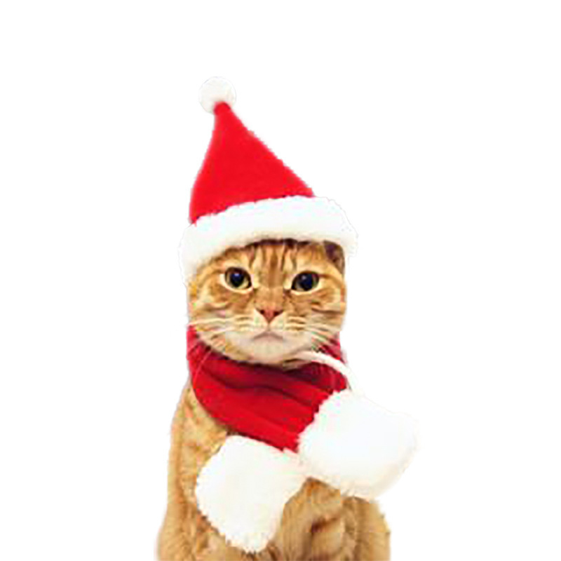 Amazon Pet Cat Dog Hat Headdress Scarf Cape Pet Costume New Year Cloak Christmas Clothes