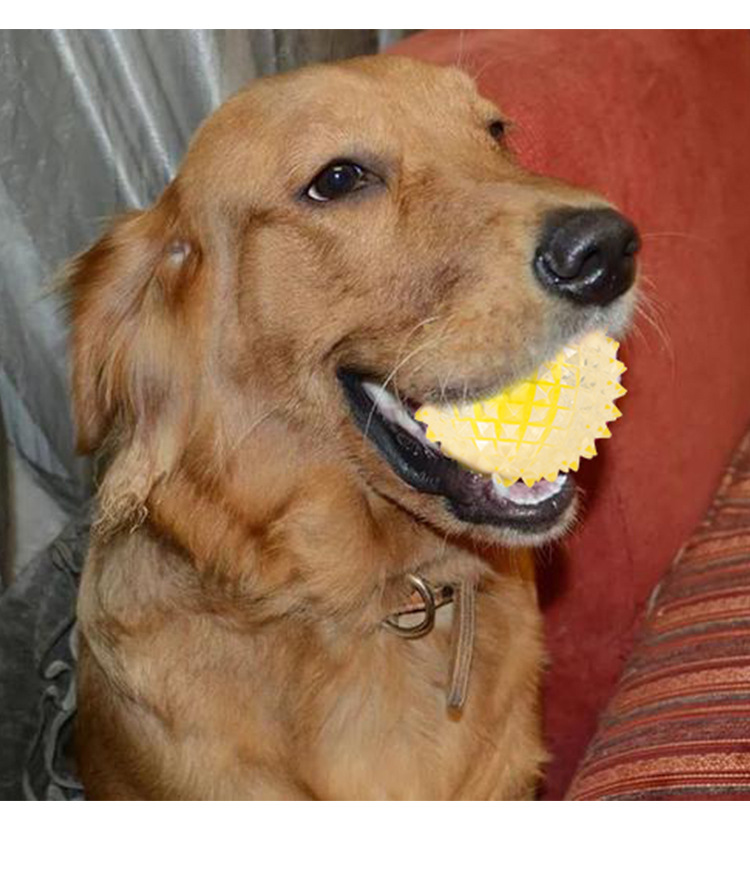 Factory Direct Sales Pet Toy Light-Emitting Barbed TPR Molar Interaction Toy Ball Dog Tooth Cleaning Ball in Stock Wholesale Factory Direct Sales Pet Toy Light-Emitting Barbed TPR Molar Interaction Toy Ball Dog Tooth Cleaning Ball in Stock Wholesale