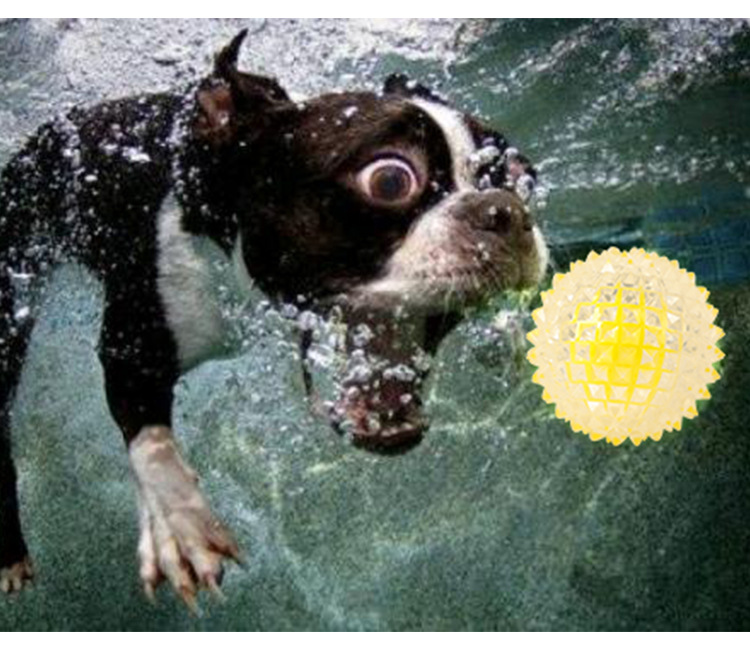Factory Direct Sales Pet Toy Light-Emitting Barbed TPR Molar Interaction Toy Ball Dog Tooth Cleaning Ball in Stock Wholesale Factory Direct Sales Pet Toy Light-Emitting Barbed TPR Molar Interaction Toy Ball Dog Tooth Cleaning Ball in Stock Wholesale