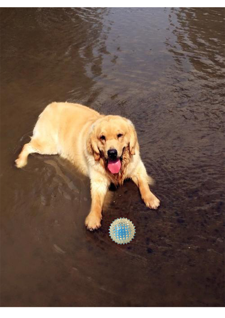 Factory Direct Sales Pet Toy Light-Emitting Barbed TPR Molar Interaction Toy Ball Dog Tooth Cleaning Ball in Stock Wholesale Factory Direct Sales Pet Toy Light-Emitting Barbed TPR Molar Interaction Toy Ball Dog Tooth Cleaning Ball in Stock Wholesale