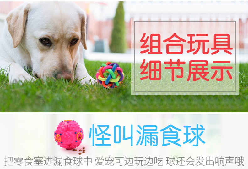 Dog Toy Molar Training Teddy/Golden Retriever Vocalization Bite-Resistant Toy Strange Food Dropping Ball Set Pet Supplies