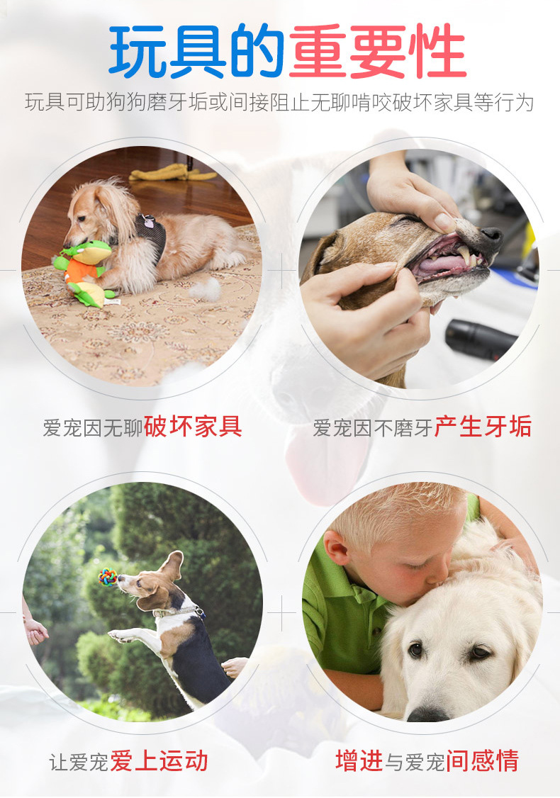 Dog Toy Molar Training Teddy/Golden Retriever Vocalization Bite-Resistant Toy Strange Food Dropping Ball Set Pet Supplies