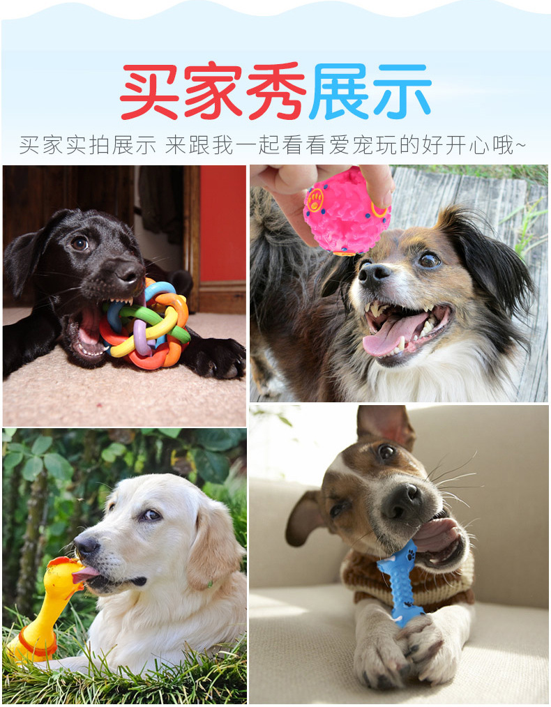 Dog Toy Molar Training Teddy/Golden Retriever Vocalization Bite-Resistant Toy Strange Food Dropping Ball Set Pet Supplies