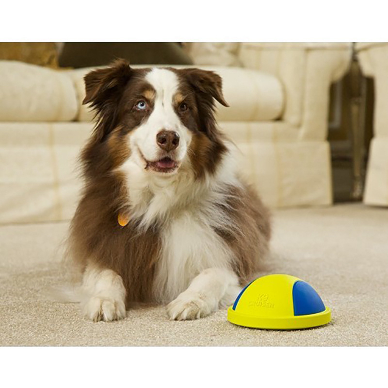 Popular Pet Supplies New Bite-Resistant Dog Sound Toys Squeaky Ball Educational Slow Tableware