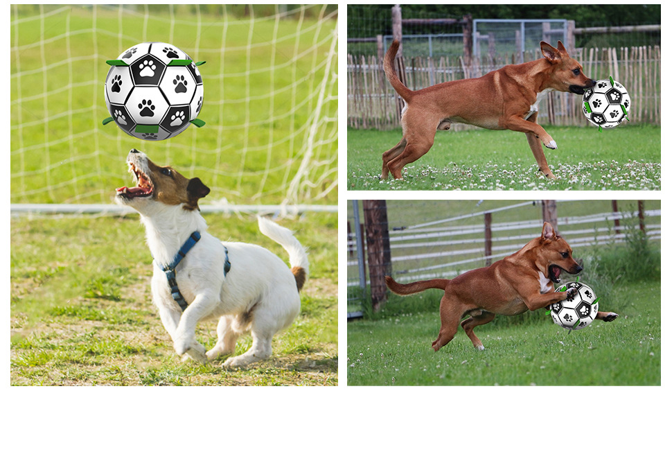 Amazon Hot Pet Supplies Dog Ball Toy Outdoor Multifunctional Interactive Rope Dog Football Dog Toy