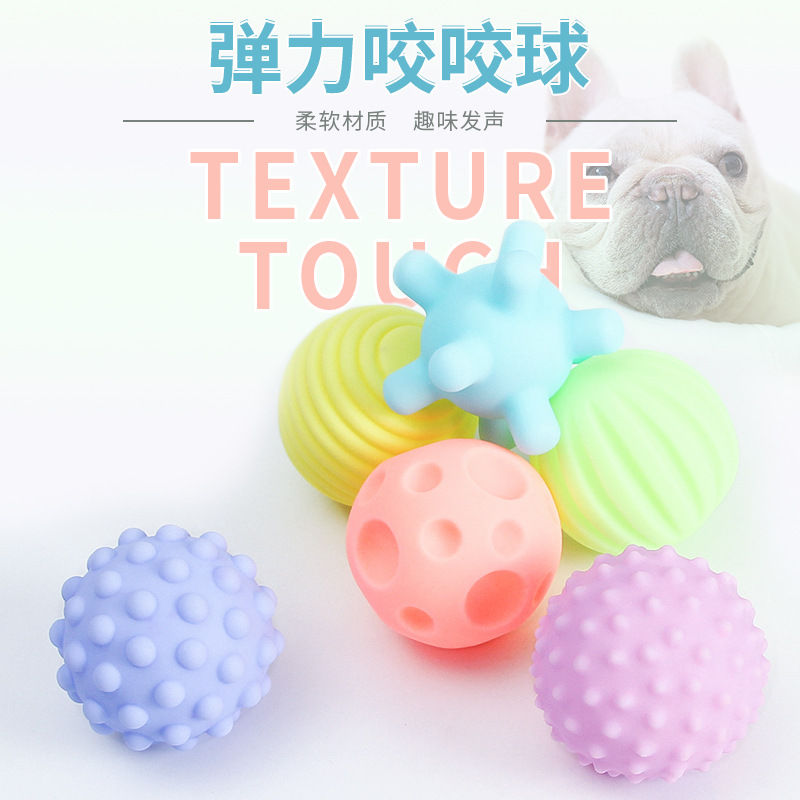 Pet Puppy Toy Ball Vocal Ball Combination 6-Piece Set Teddy Bichon Puppy Dog Toy Pet Supplies