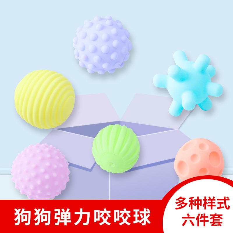 Pet Puppy Toy Ball Vocal Ball Combination 6-Piece Set Teddy Bichon Puppy Dog Toy Pet Supplies