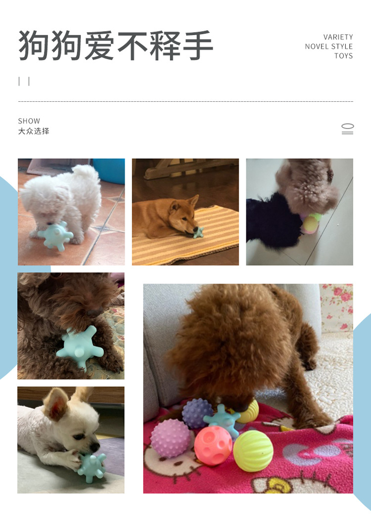 Pet Puppy Toy Ball Vocal Ball Combination 6-Piece Set Teddy Bichon Puppy Dog Toy Pet Supplies Pet Puppy Toy Ball Vocal Ball Combination 6-Piece Set Teddy Bichon Puppy Dog Toy Pet Supplies