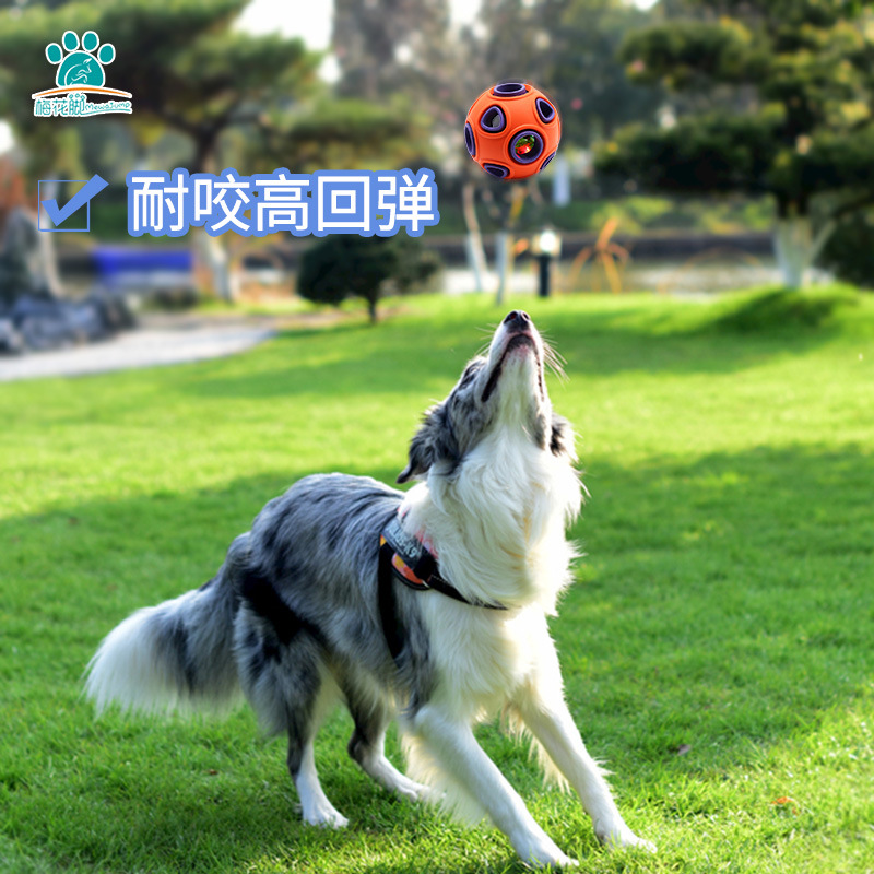 Exclusive for Cross-Border Pet Toy Dog Bite-Resistant Toy Ball Ringing Sound Molar Training Ball Pet Supplies Wholesale