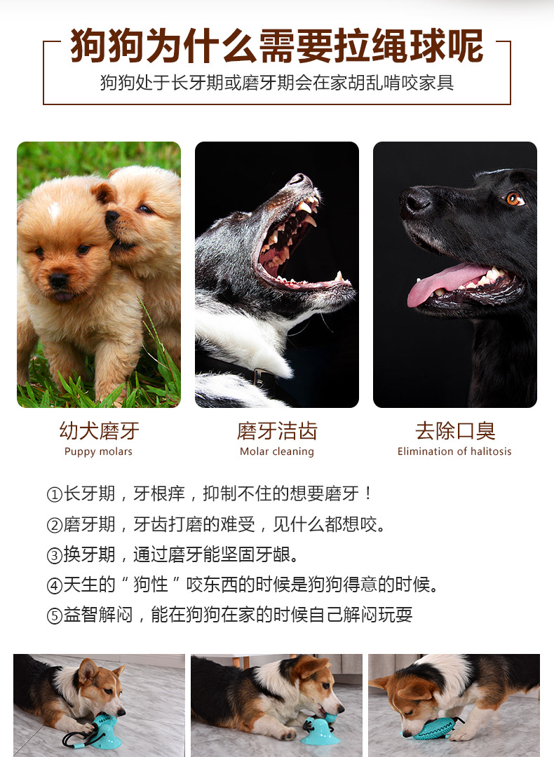 Pet Supplies 2020 Amazon Hot Selling Dog Toys Pet Sucker Food Dropping Ball Pet Toy Ball Dog Toothbrush