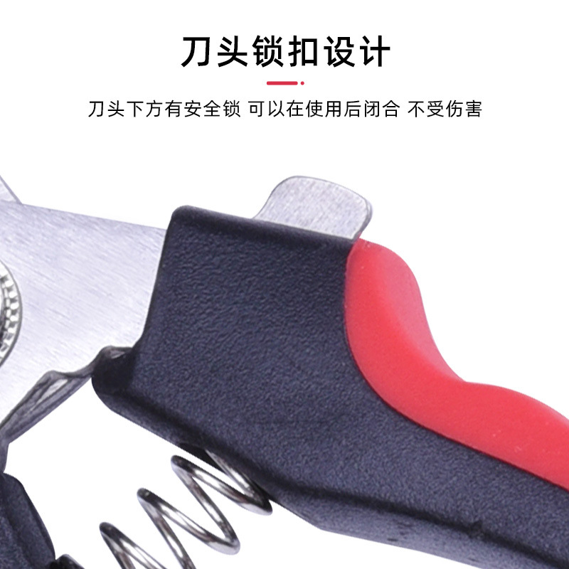 Pet Nail Clipper Dog Nail Clippers Pet Nail Clippers Large, Medium and Small Dogs Pet Supplies Set in Stock